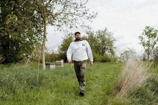 Warum echter Honig mehr ist als nur süß – 5 gute Gründe, Honig direkt vom Imker zu kaufen