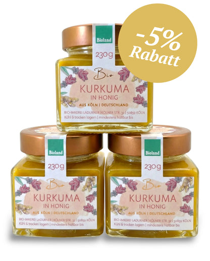 Bio-Kurkuma in Honig