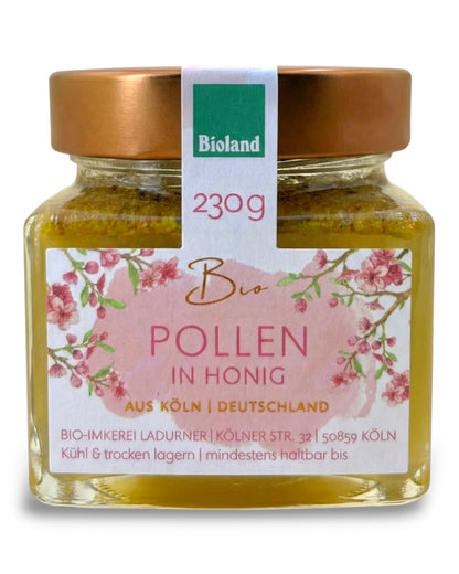 Bio-Pollen in Honig