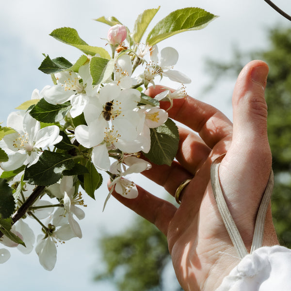 Bienenpatenschaft für Privatpersonen