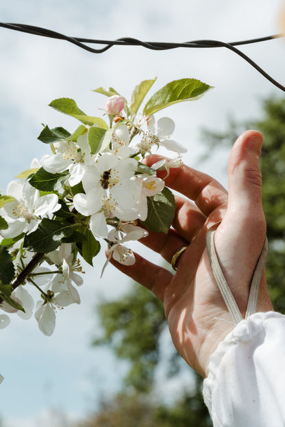 Bienenpatenschaft für Privatpersonen