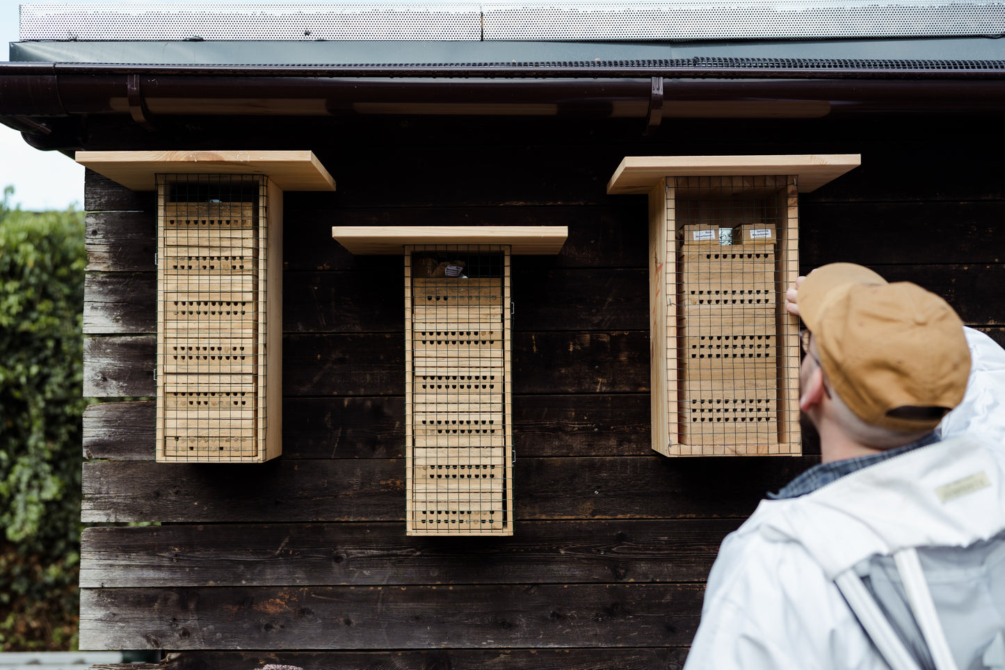 Bienenpatenschaft für Privatpersonen
