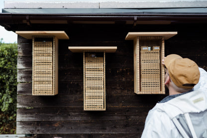Bienenpatenschaft für Privatpersonen