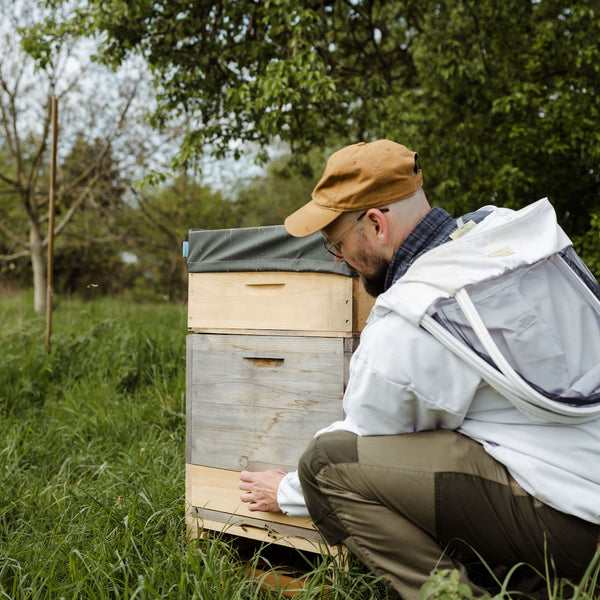 Bienenpatenschaft für Unternehmen & Vereine