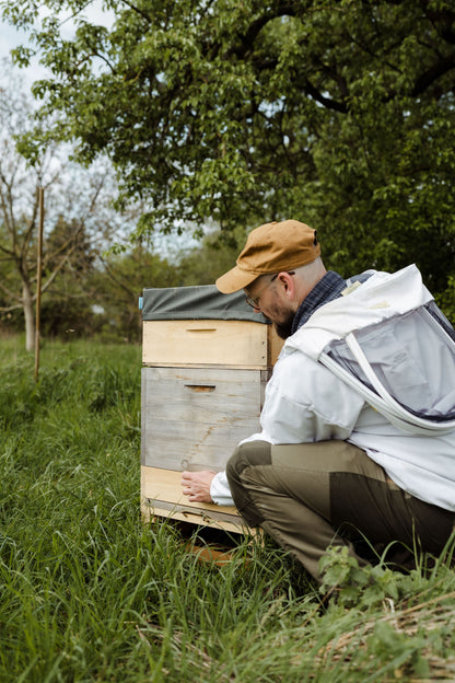 Bienenpatenschaft für Unternehmen & Vereine