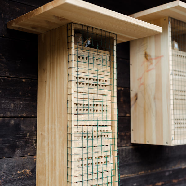 Bienenpatenschaft für Unternehmen & Vereine