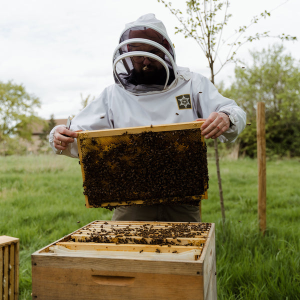 Vitale & gesunde Bienen durch Biotechnische Maßnahmen