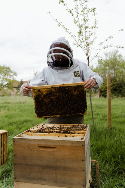 Vitale & gesunde Bienen durch Biotechnische Maßnahmen