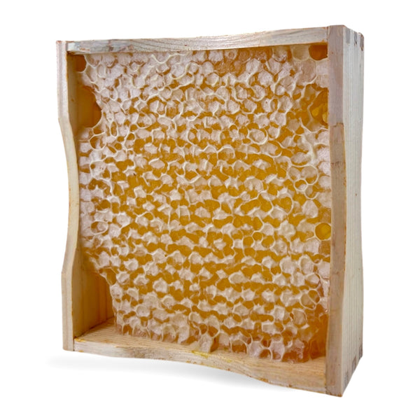 Bio-Wabenhonig