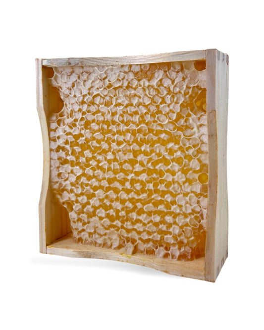 Bio-Wabenhonig
